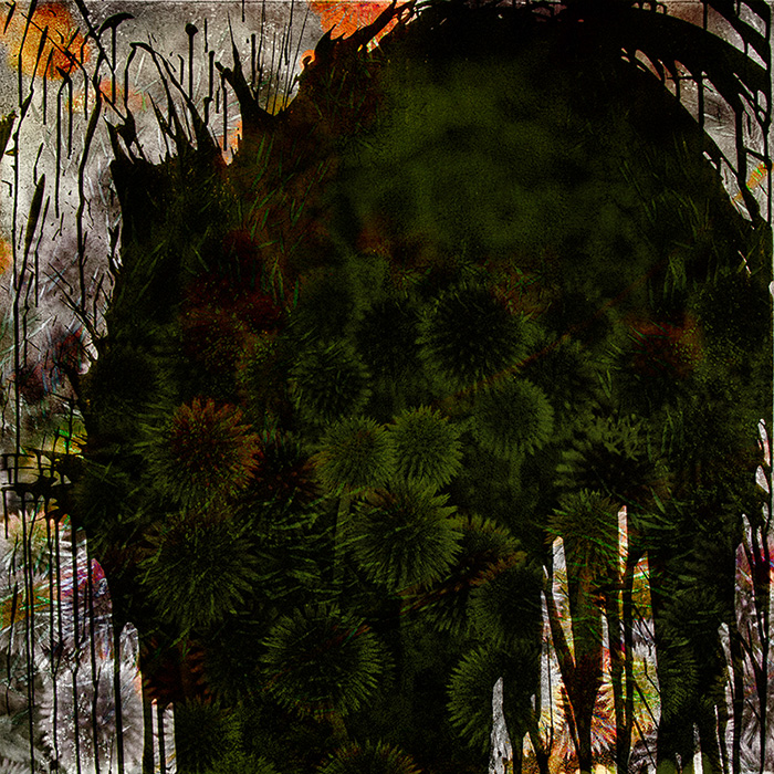 Miriam Bossard Project - Flowers - Collages