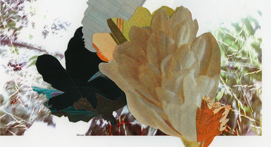 Miriam Bossard Project - Collages - Cut-out papers