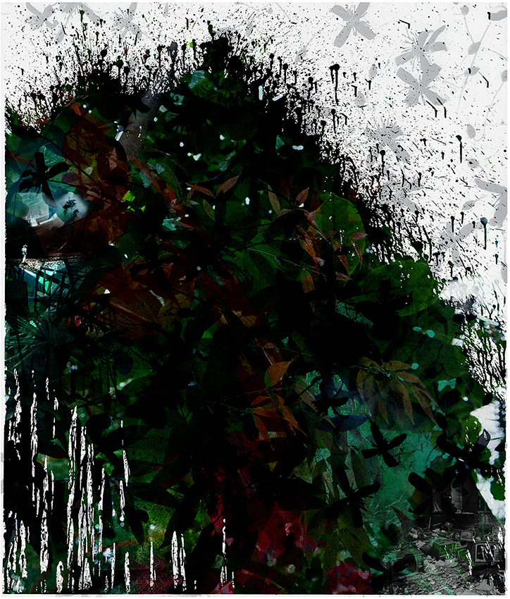 Miriam Bossard Project - Assimilation - Mixed media