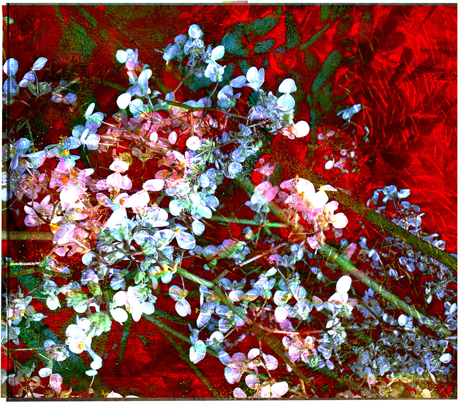Miriam Bossard Project - Collages - Mixed media