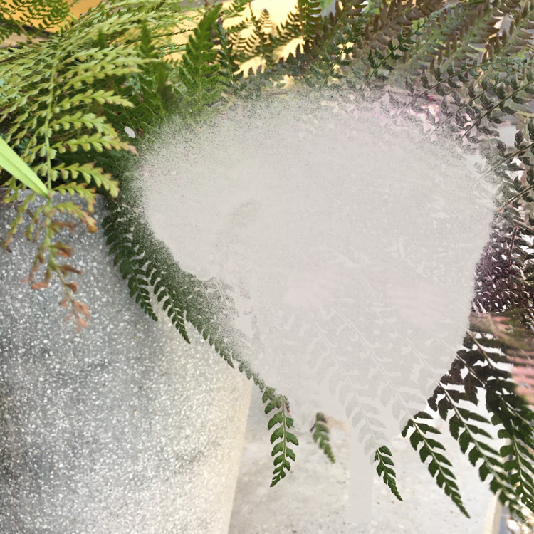 Miriam Bossard Project - Nature of Things: Part 2 - Photomontages