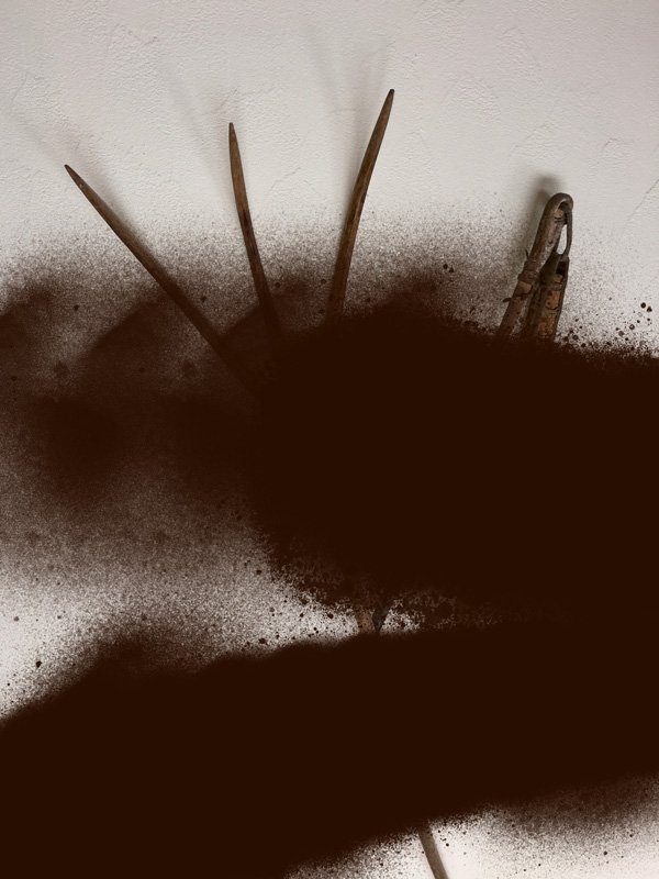 Miriam Bossard Project - Nature of Things: Part 1 - Photomontages