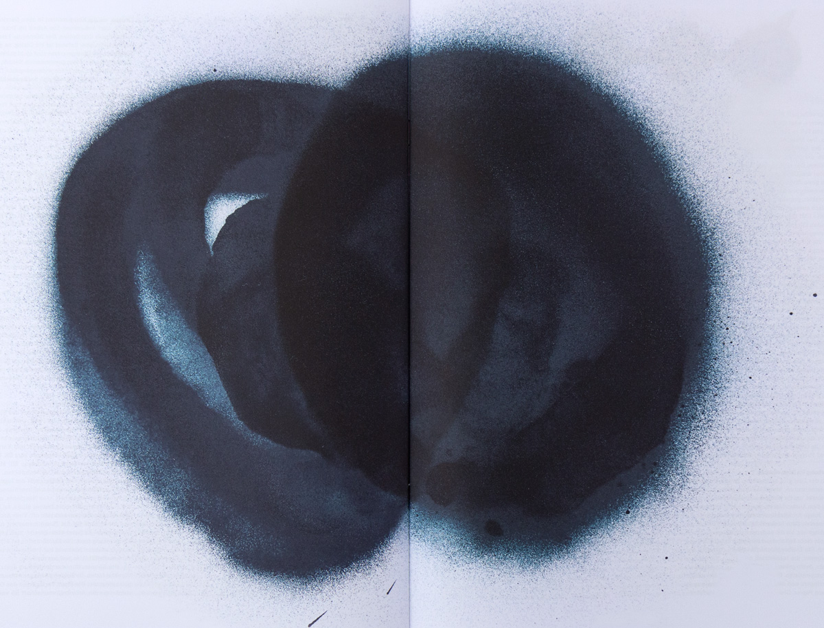 Bossard Wettstein Project - Cooperations - Paintings
