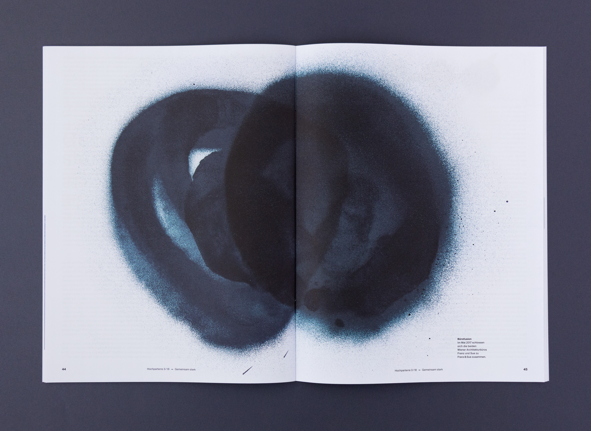 Miriam Bossard Project - Cooperations - Paintings