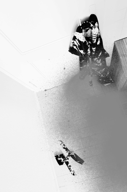 Miriam Bossard Project - Nature of Things: Part 2 - Photomontages