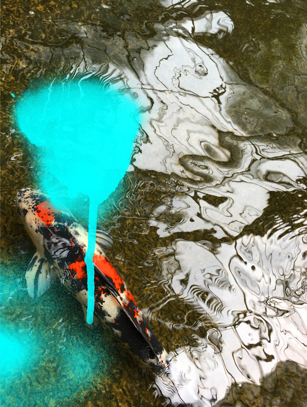 Miriam Bossard Project - Nature of Things: Part 2 - Photomontages