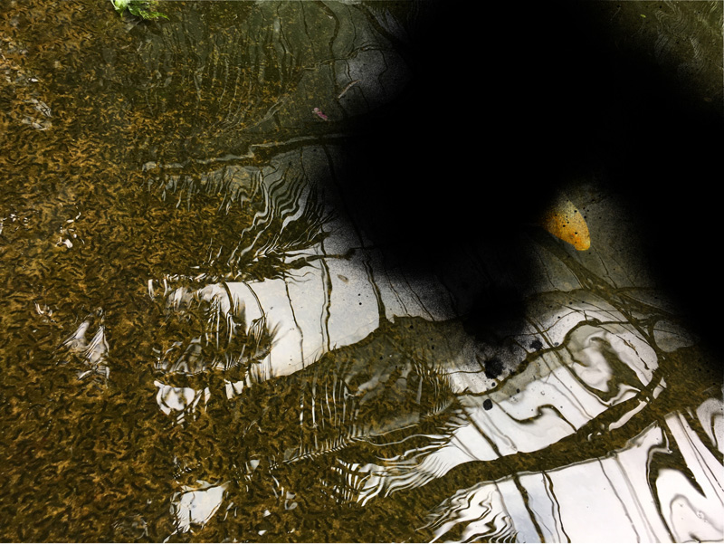Miriam Bossard Project - Nature of Things: Part 2 - Photomontages