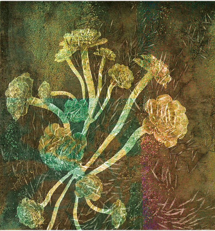 Miriam Bossard Project - Organic Structures - Collages