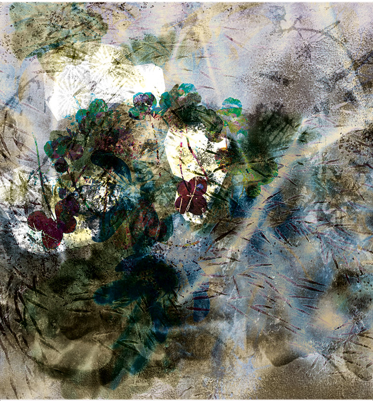 Miriam Bossard Project - Organic Structures - Collages