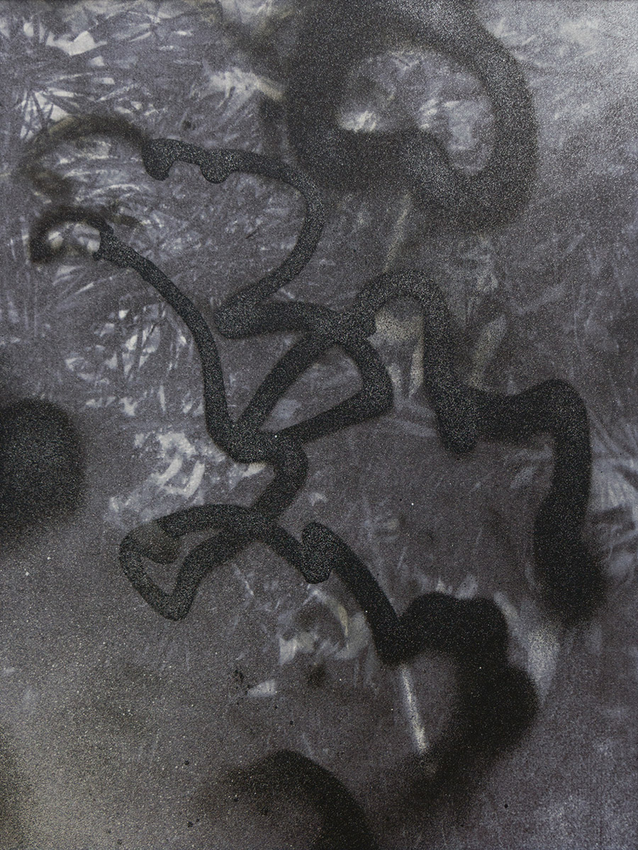 Miriam Bossard Project - Para - Mixed media