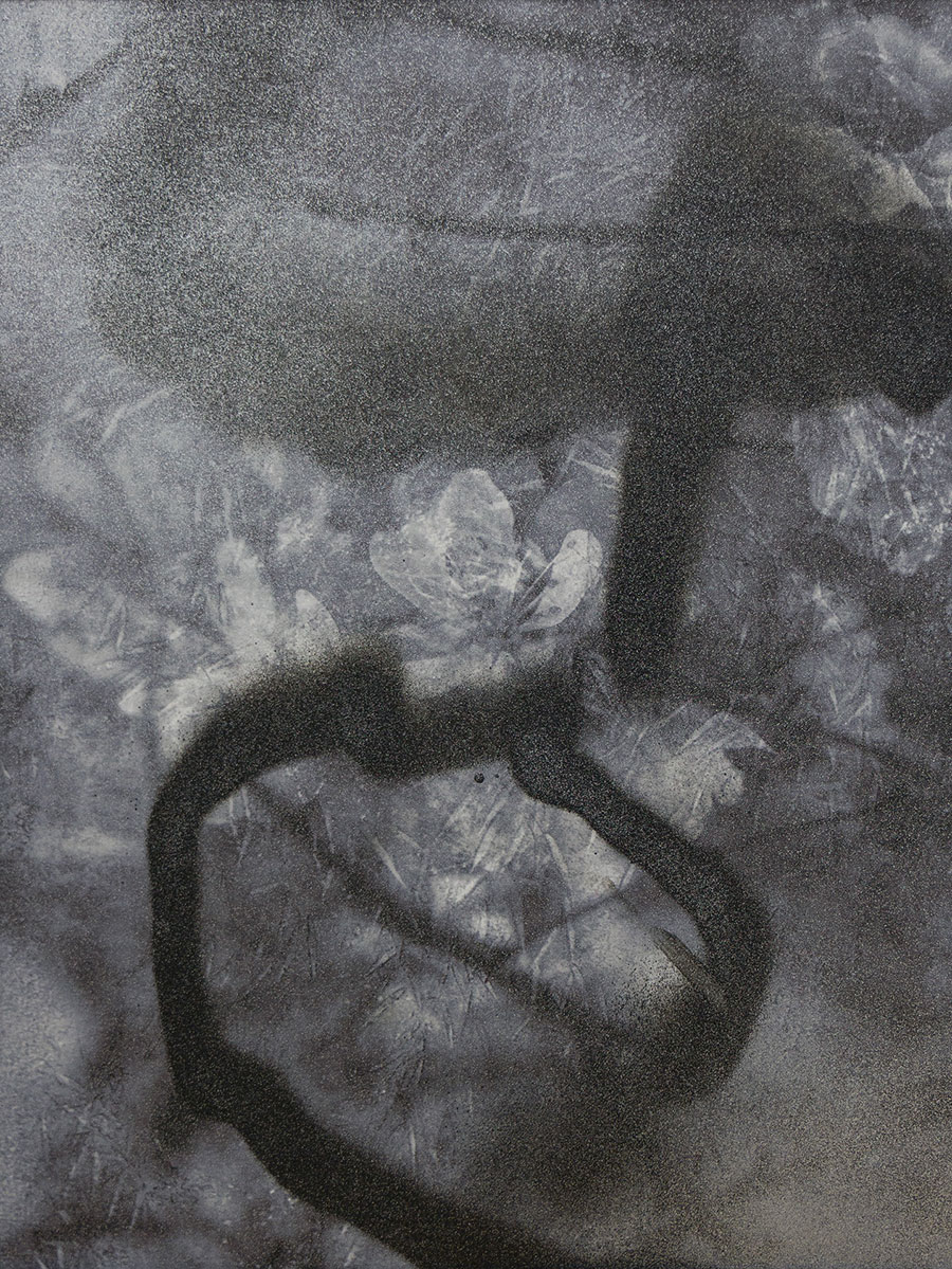 Miriam Bossard Project - Para - Mixed media
