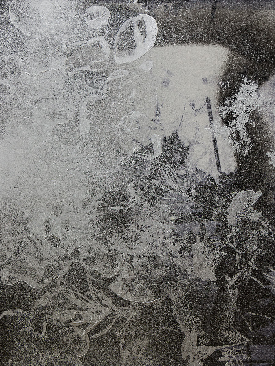Miriam Bossard Project - Para - Mixed media