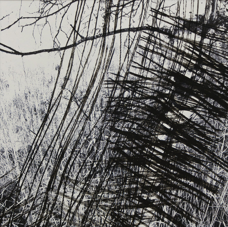 Miriam Bossard Project - Para - Mixed media