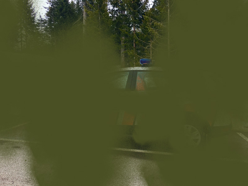 Miriam Bossard Project - Nature of Things: Part 1 - Photomontages