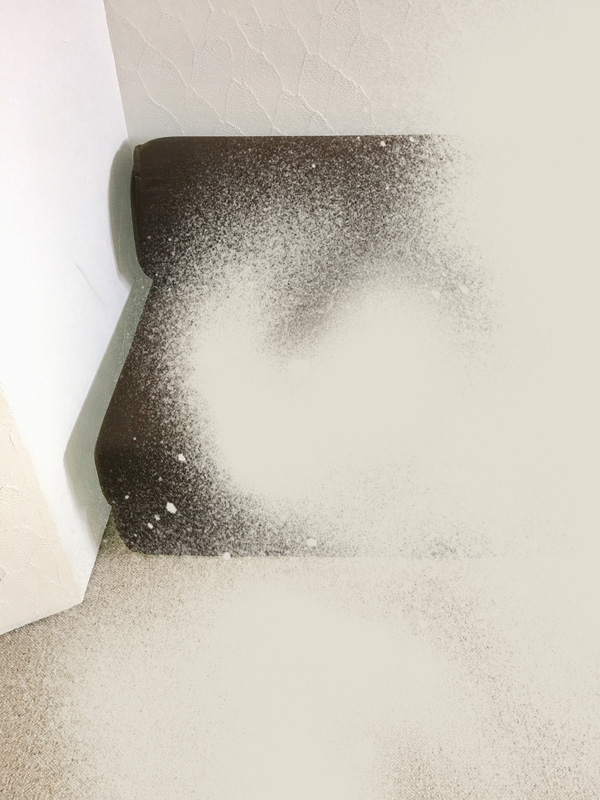 Miriam Bossard Project - Nature of Things: Part 1 - Photomontages