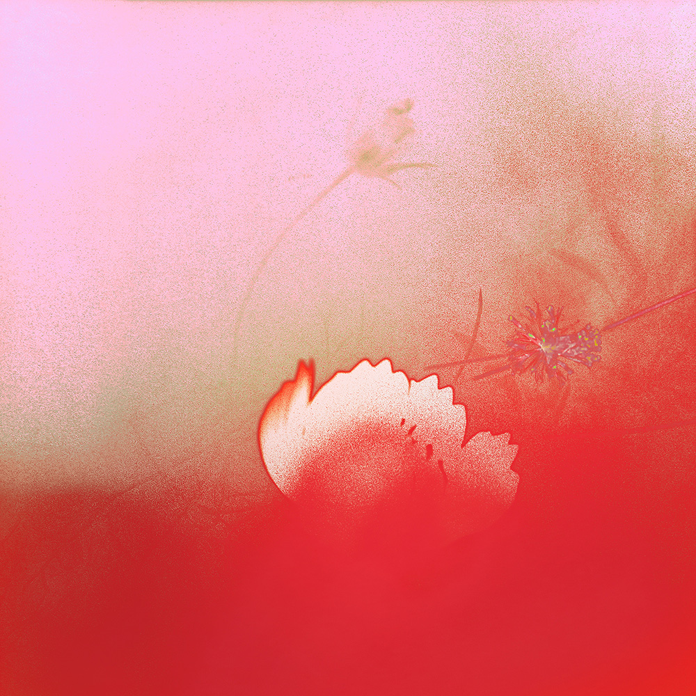 Miriam Bossard Project - Truth: Alternative 1 - Mixed media