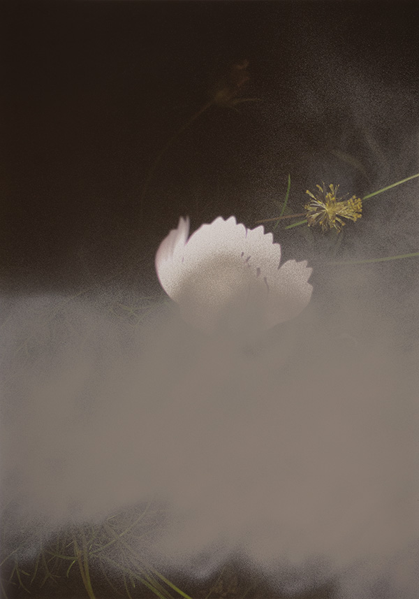 Miriam Bossard Project - Truth: Perspectives 1-6 - Mixed media