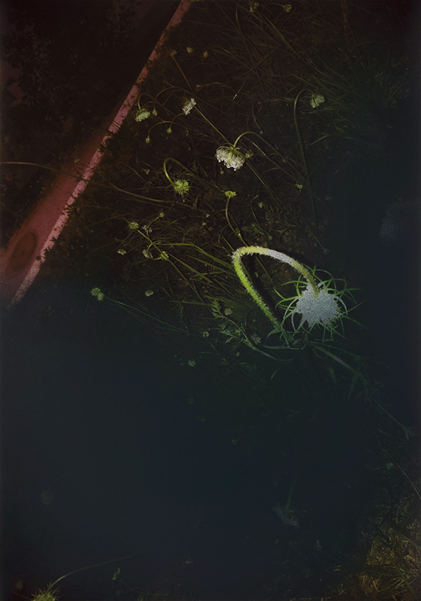 Miriam Bossard Project - Truth: Perspectives 1-6 - Mixed media