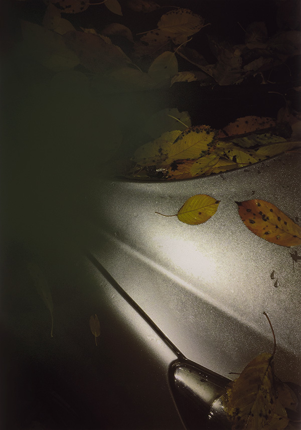 Miriam Bossard Project - Truth: Perspectives 1-6 - Mixed media
