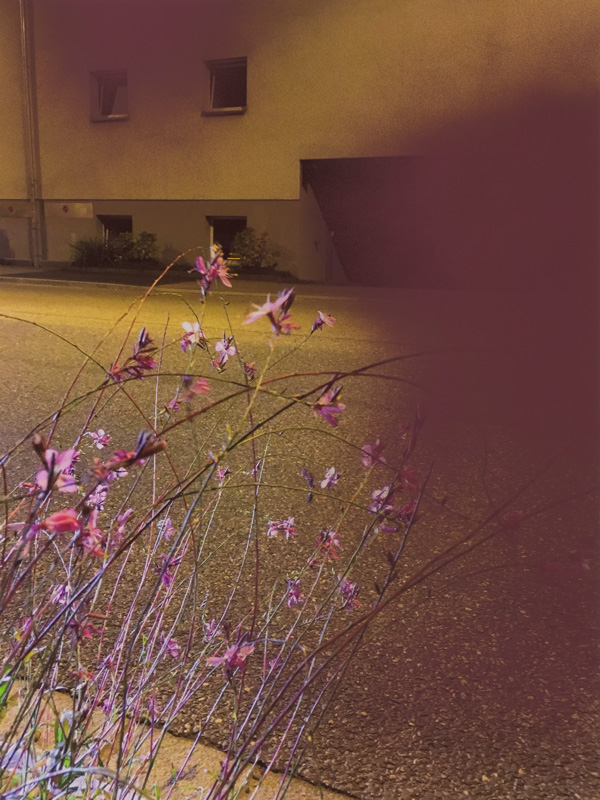 Miriam Bossard Project - Truth: Perspectives 1-6 - Mixed media