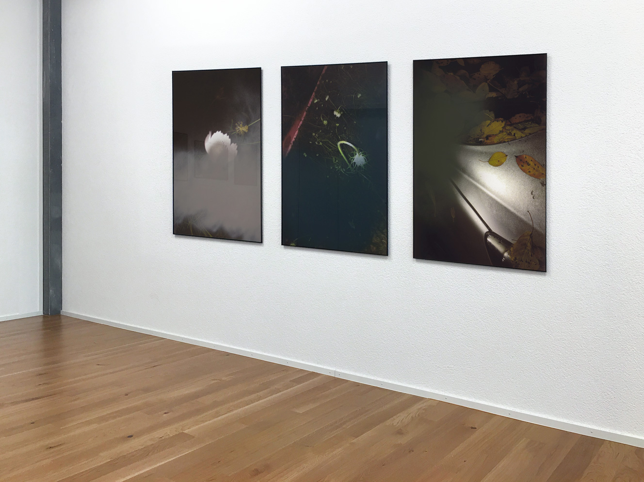 Bossard Wettstein Project - Truth: Perspectives 1-6 - Mixed media