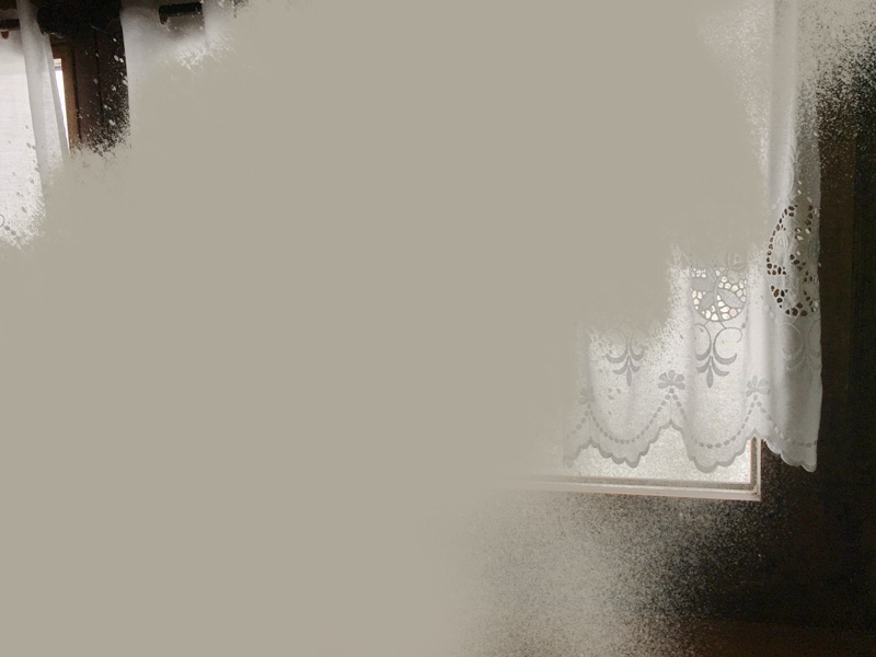Miriam Bossard Project - Nature of Things: Part 1 - Photomontages
