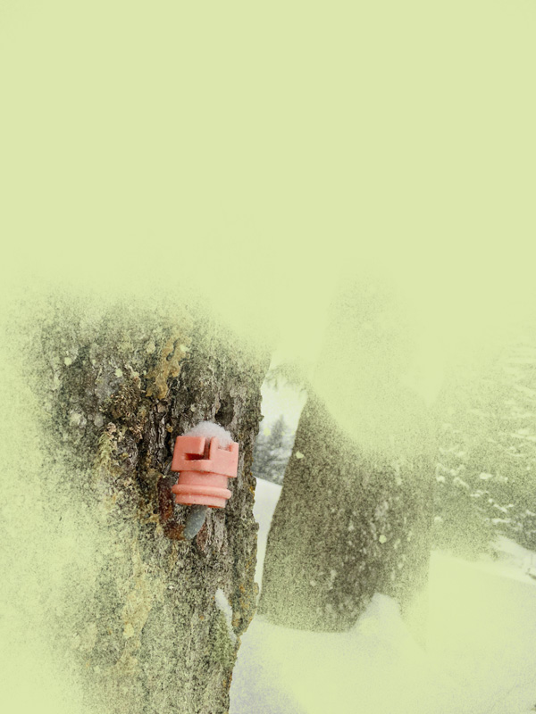 Miriam Bossard Project - Nature of Things: Part 1 - Photomontages