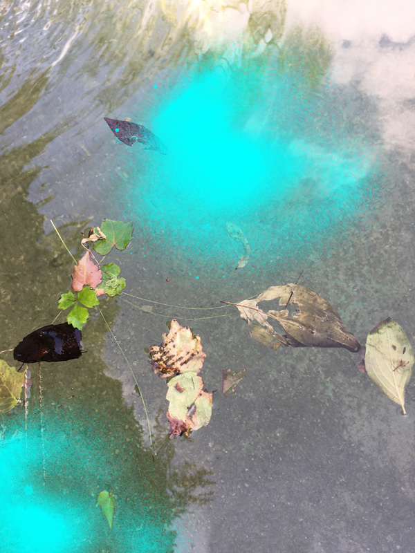 Miriam Bossard Project - Nature of Things: Part 2 - Photomontages