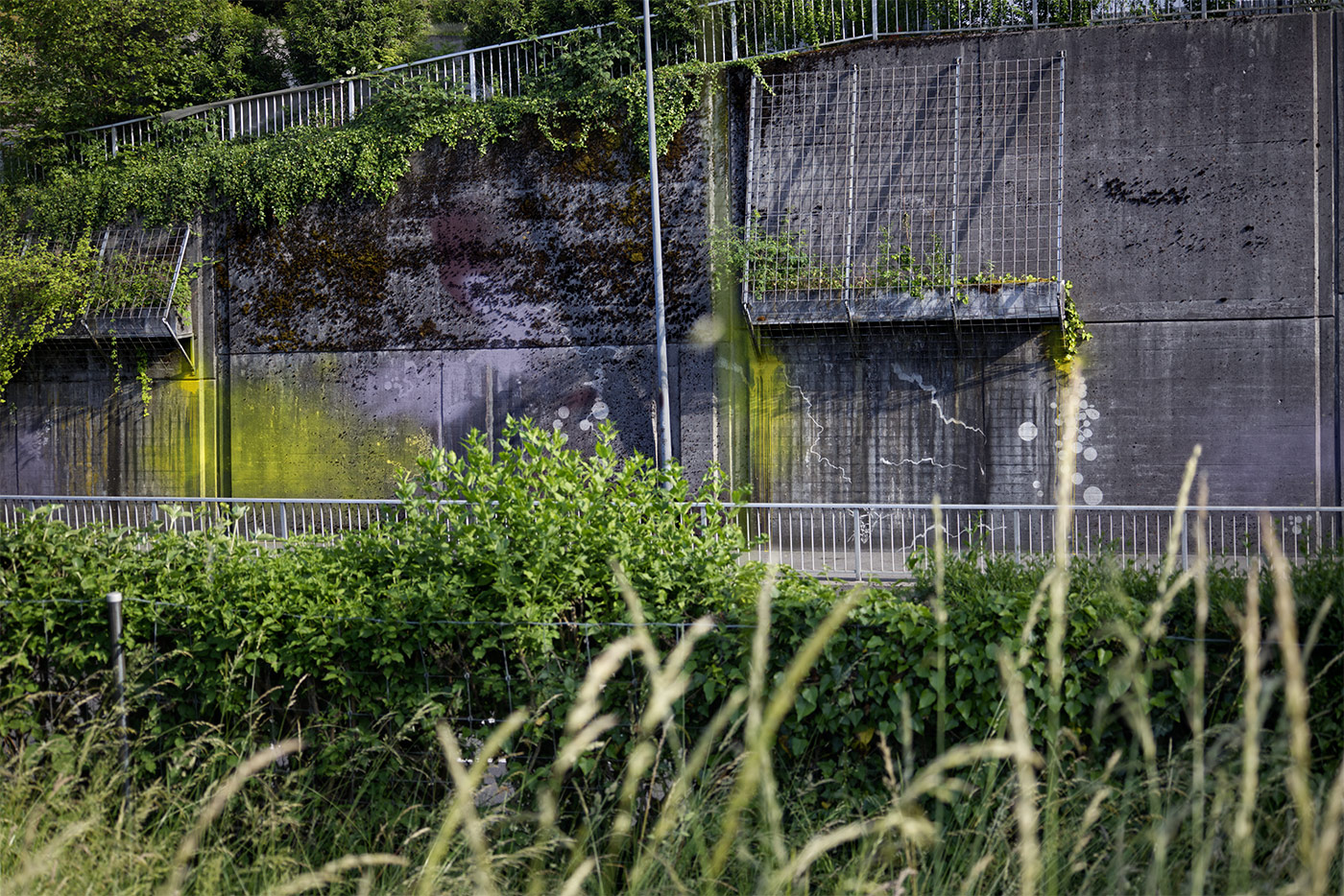 Miriam Bossard Project - Flora Magica - Art in public space / painting