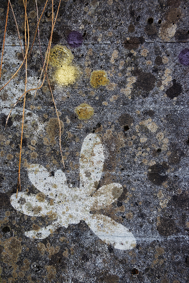 Miriam Bossard Project - Flora Magica - Art in public space / painting