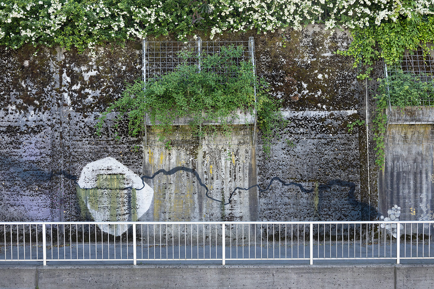 Miriam Bossard Project - Flora Magica - Art in public space / painting