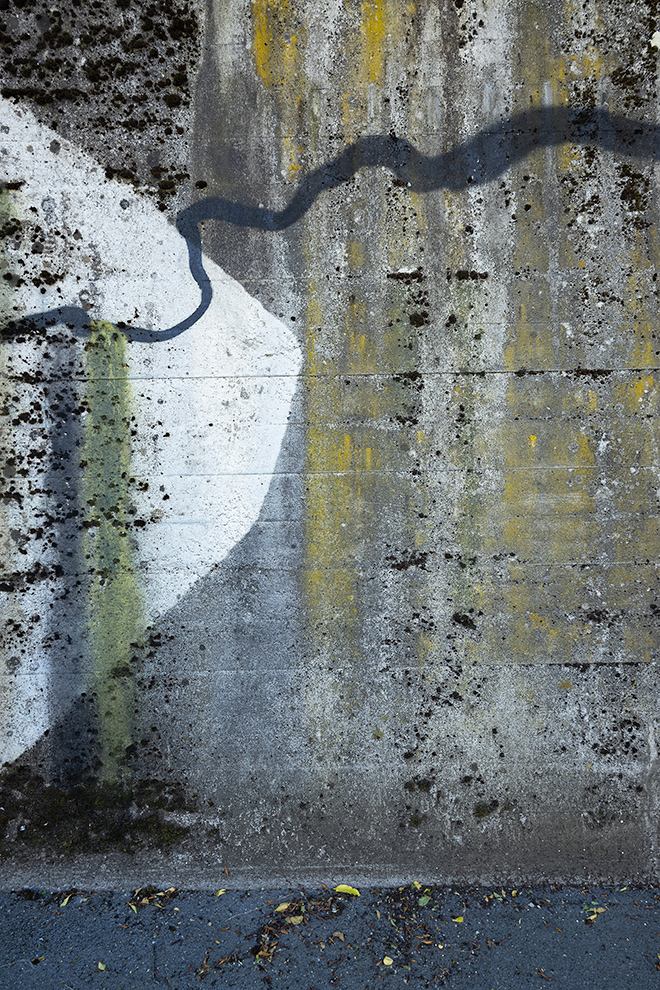 Miriam Bossard Project - Flora Magica - Art in public space / painting