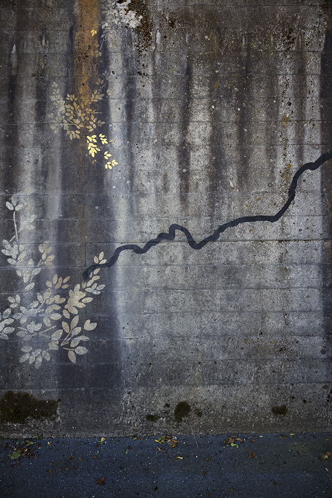 Miriam Bossard Project - Flora Magica - Art in public space / painting