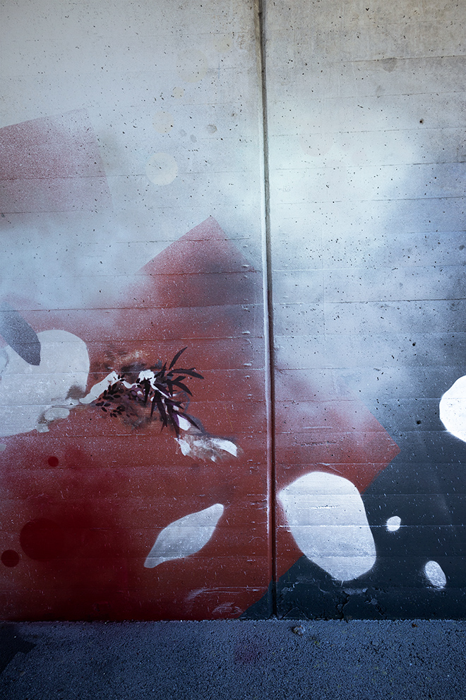 Miriam Bossard Project - Flora Magica - Art in public space / painting