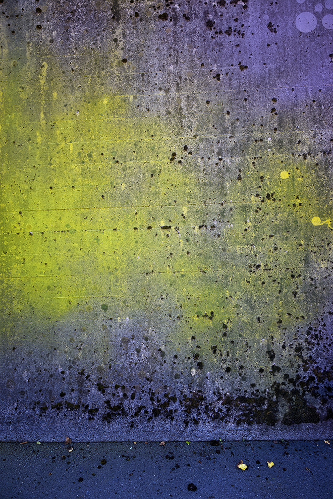 Miriam Bossard Project - Flora Magica - Art in public space / painting