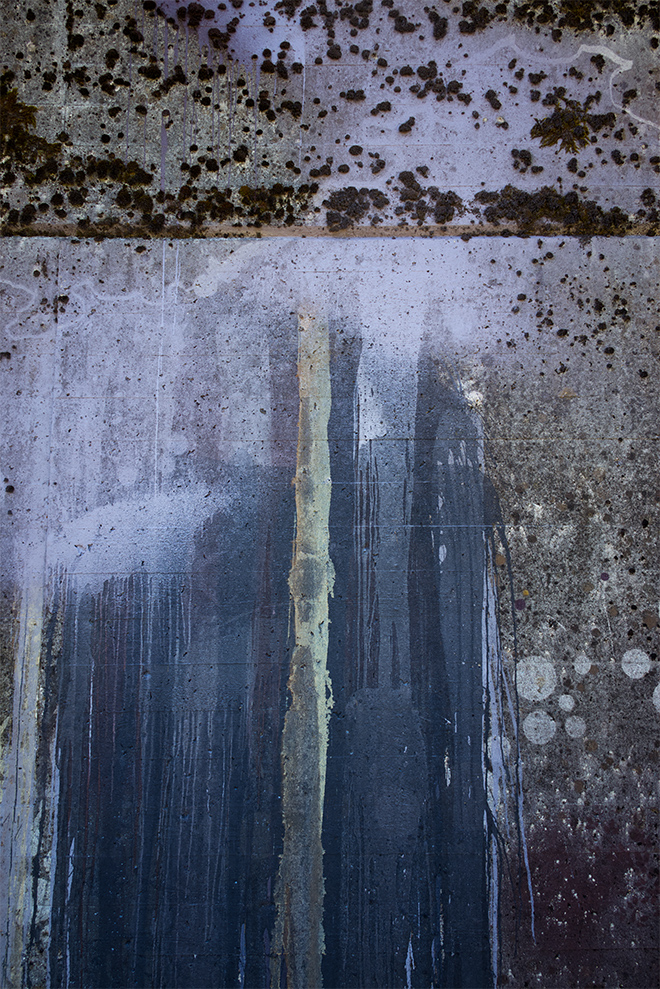 Miriam Bossard Project - Flora Magica - Art in public space / painting