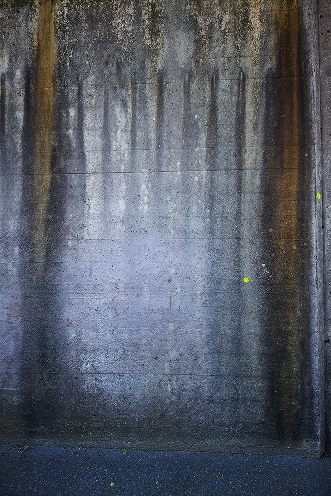 Miriam Bossard Project - Flora Magica - Art in public space / painting