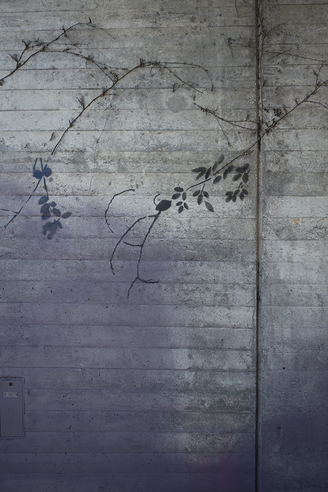 Miriam Bossard Project - Flora Magica - Art in public space / painting