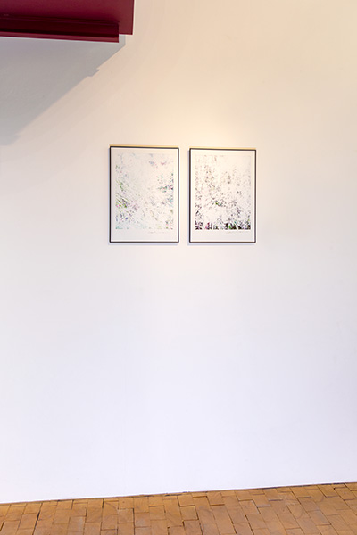 Miriam Bossard Project - Exhibitions / Installation views - 2012 – 2025 (Selection)