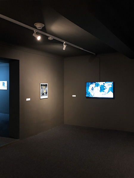 Miriam Bossard Project - Exhibitions / Installation views - 2012 – 2025 (Selection)