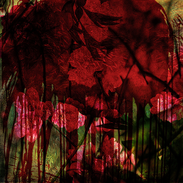 Miriam Bossard Project - Flowers - Collages