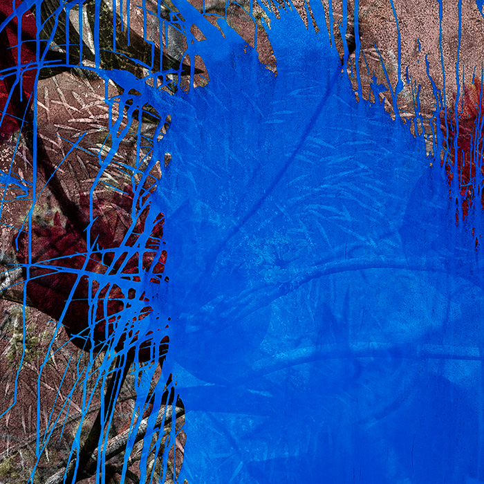 Miriam Bossard Project - Flowers - Collages