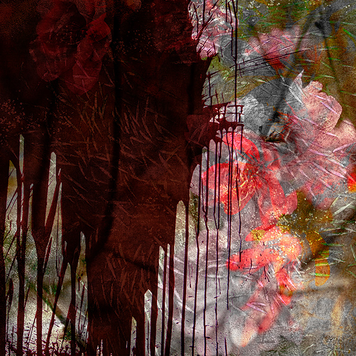 Miriam Bossard Project - Flowers - Collages