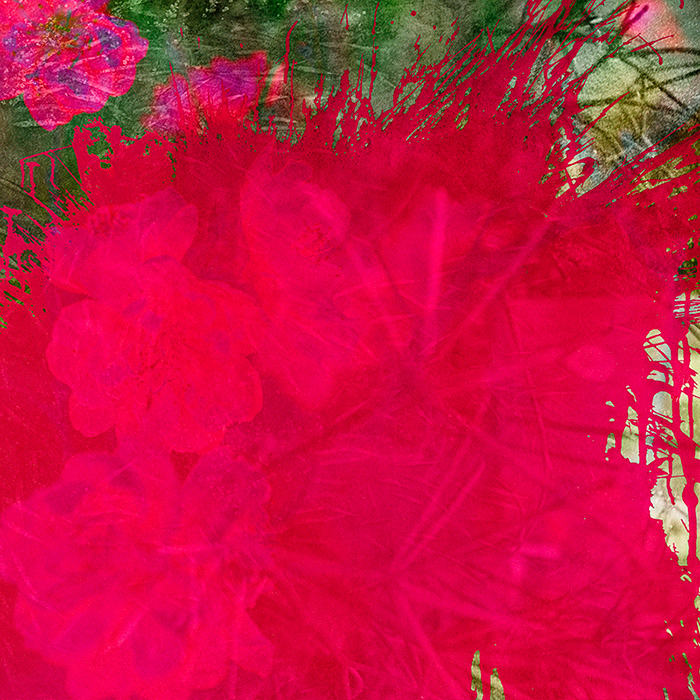 Miriam Bossard Project - Flowers - Collages