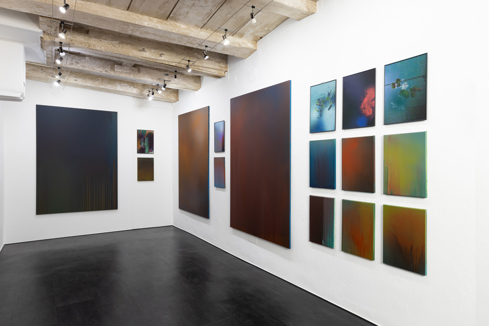 Bossard Wettstein Project - Introspection: Interference - Paintings