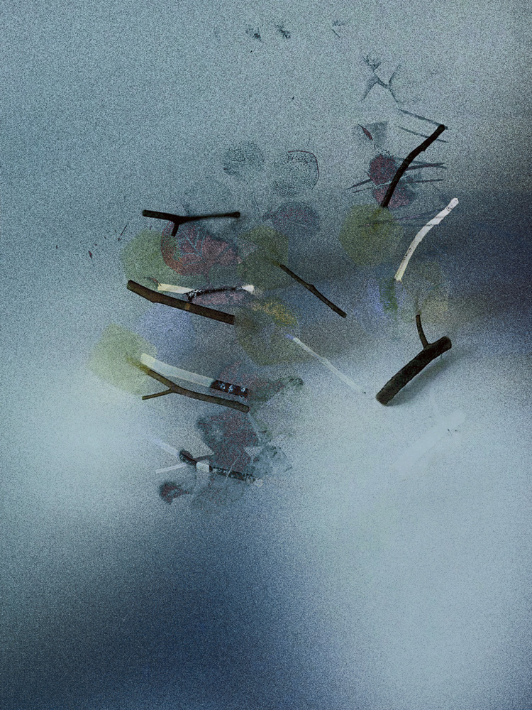 Miriam Bossard Project - Introspection: Somnium - Digital Collage