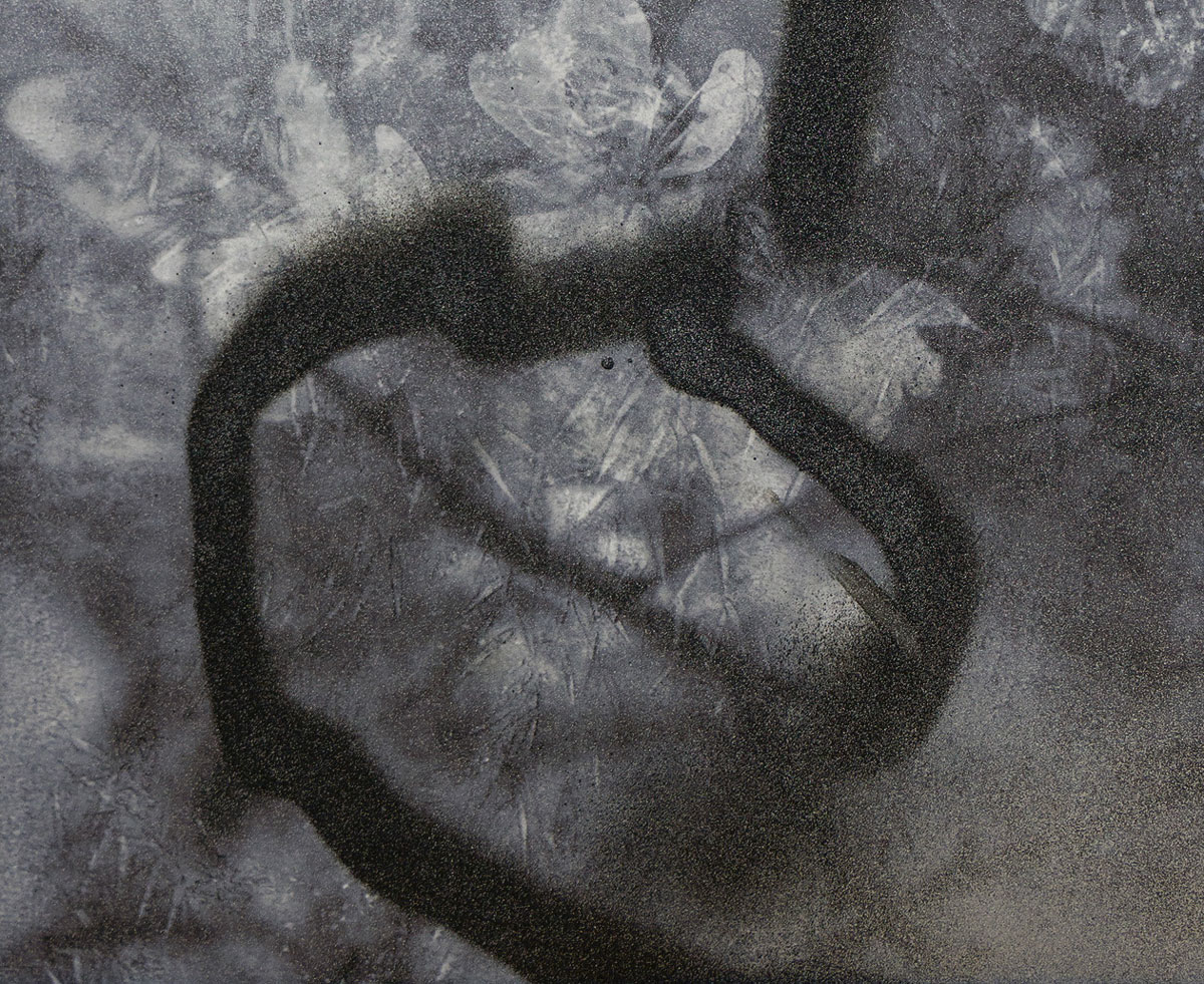 Bossard Wettstein Project - Para - Mixed media