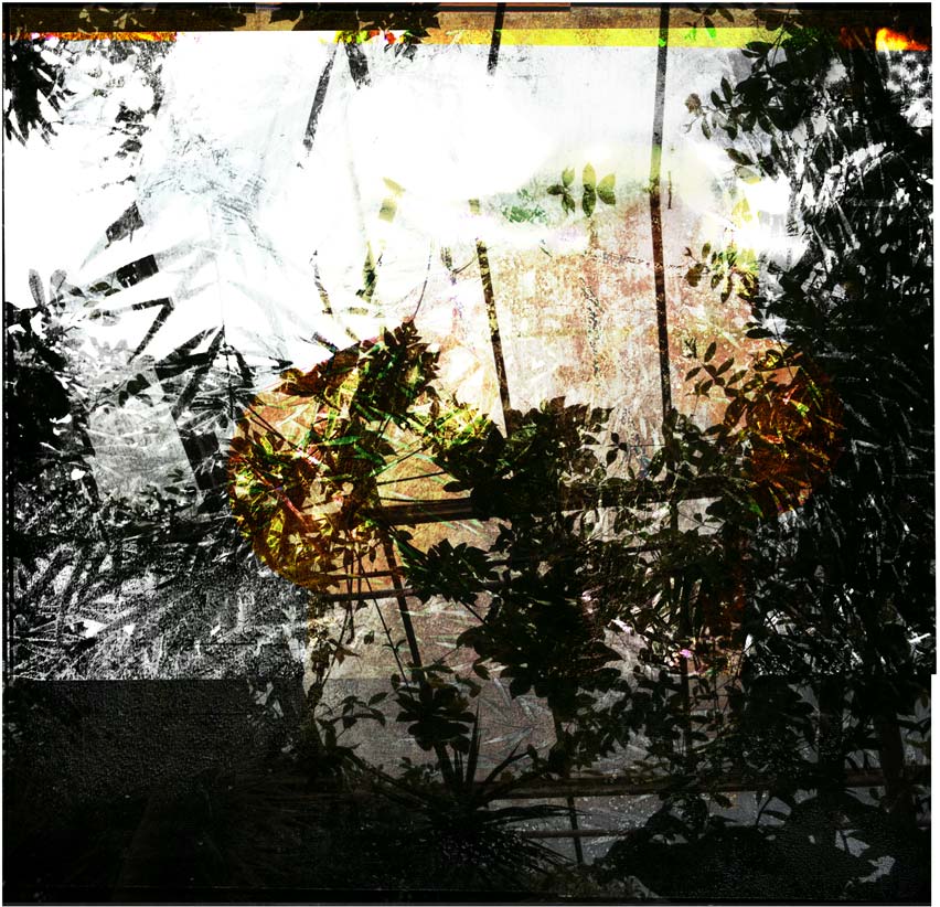 Miriam Bossard Project - Collages - Mixed media