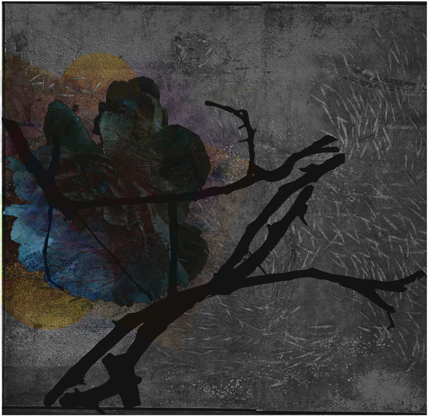 Miriam Bossard Project - Collages - Mixed media