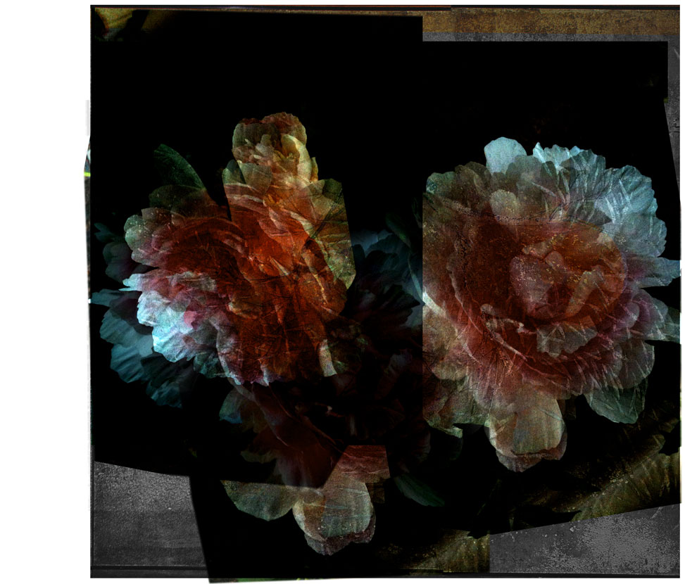 Miriam Bossard Project - Collages - Mixed media